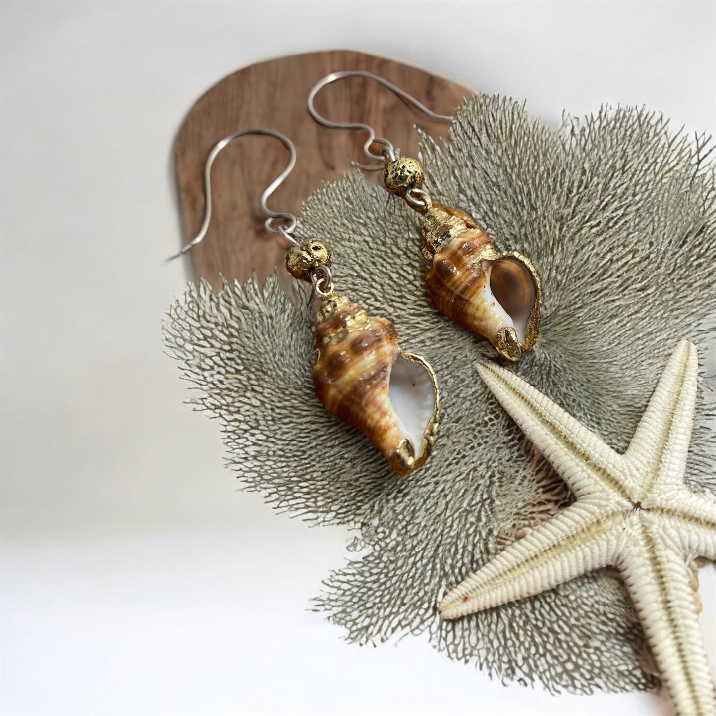 Boucles d’oreilles coquillage